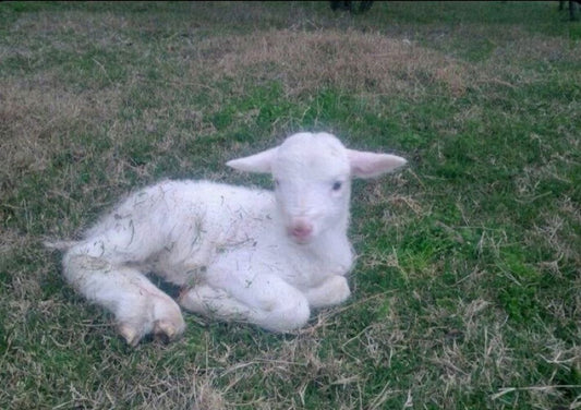 The Unnerving Nature of Time